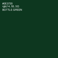 #0E3720 - Bottle Green Color Image